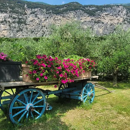 Agriturismo Vin e Amor-3